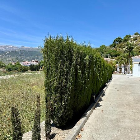 Bed & Breakfast Casa Del Palta Canillas de Albaida Kültér fotó