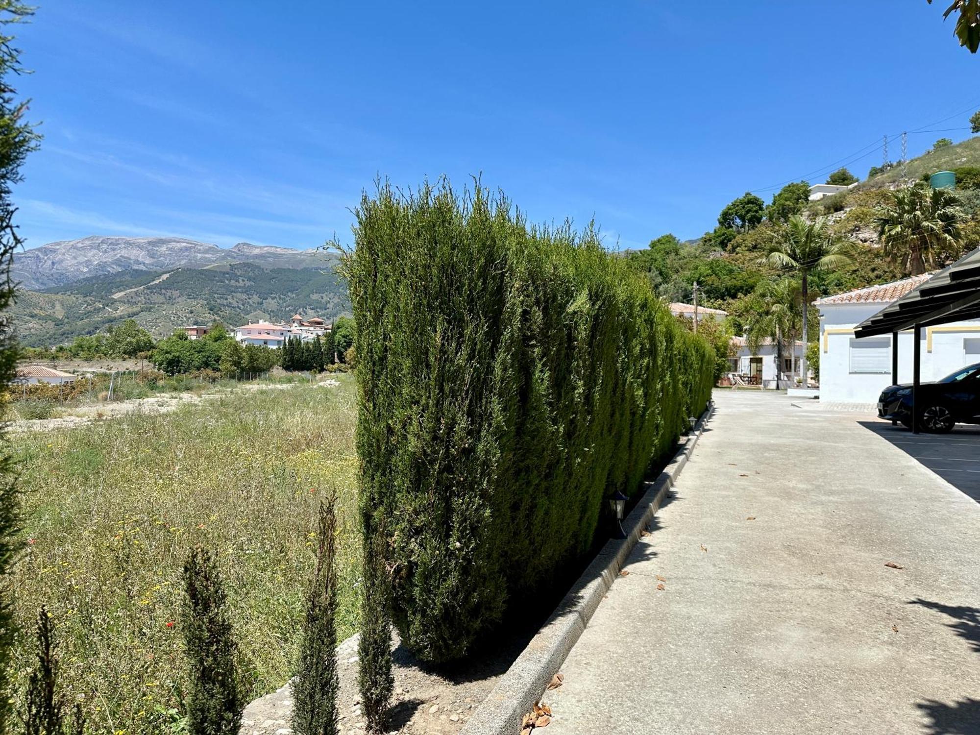 Bed & Breakfast Casa Del Palta Canillas de Albaida Kültér fotó